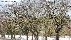 takano3-20250411124046.jpg
