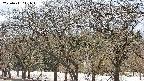takano3-20250411141047.jpg