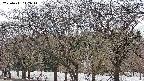 takano3-20250411142046.jpg