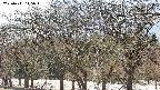 takano3-20250411145044.jpg