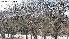 takano3-20250411150045.jpg