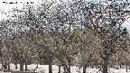 takano3-20250411151045.jpg