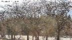 takano3-20250411161046.jpg