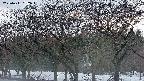 takano3-20250411182044.jpg