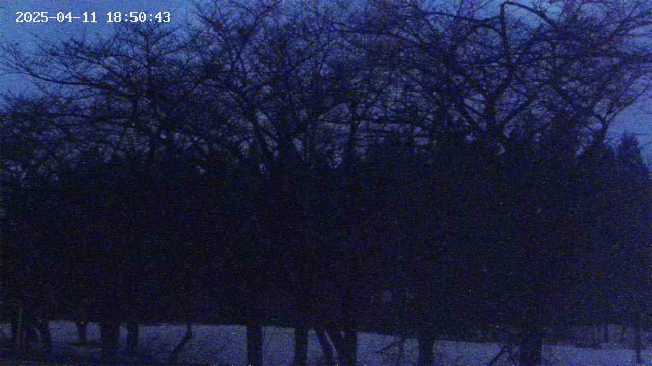 takano3-20250411185044.jpg