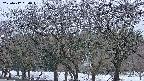 takano3-20250412050044.jpg