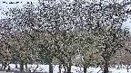 takano3-20250412051044.jpg