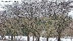 takano3-20250412053046.jpg