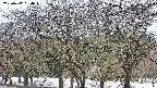takano3-20250412054044.jpg