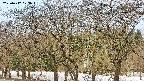 takano3-20250412073043.jpg