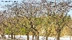 takano3-20250412074043.jpg