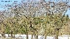 takano3-20250412081043.jpg