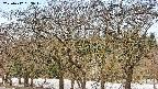 takano3-20250412083044.jpg
