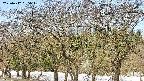 takano3-20250412085044.jpg