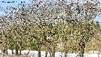 takano3-20250412091044.jpg