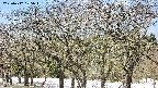 takano3-20250412105044.jpg