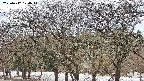 takano3-20250412124045.jpg