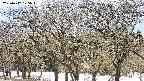 takano3-20250412125043.jpg