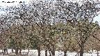 takano3-20250412130044.jpg