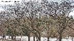takano3-20250412133045.jpg