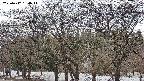 takano3-20250412134045.jpg