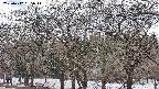 takano3-20250412135046.jpg