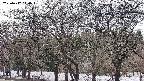 takano3-20250412140045.jpg