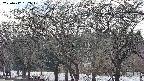 takano3-20250412152044.jpg