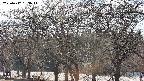takano3-20250412153045.jpg