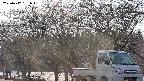 takano3-20250412161045.jpg