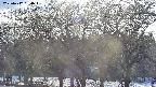 takano3-20250412164046.jpg