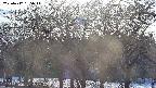 takano3-20250412165045.jpg