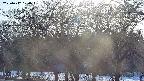 takano3-20250412170045.jpg
