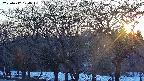 takano3-20250412174044.jpg