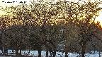 takano3-20250412180046.jpg