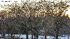takano3-20250412181044.jpg