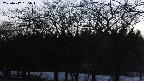 takano3-20250412185043.jpg