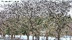 takano3-20250413051043.jpg