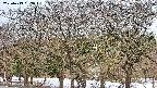 takano3-20250413052044.jpg