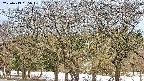 takano3-20250413055044.jpg