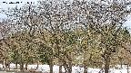 takano3-20250413061043.jpg