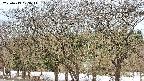 takano3-20250413073045.jpg