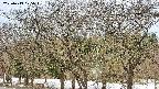 takano3-20250413075043.jpg