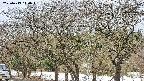 takano3-20250413110044.jpg