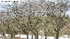 takano3-20250413124045.jpg