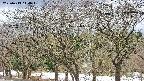 takano3-20250413144044.jpg