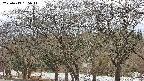 takano3-20250413155045.jpg