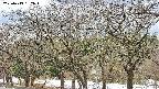 takano3-20250413162045.jpg
