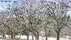 takano3-20250413165045.jpg