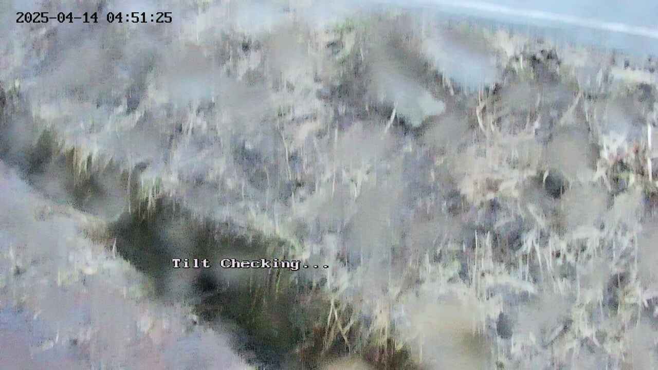 takano3-20250414045127.jpg